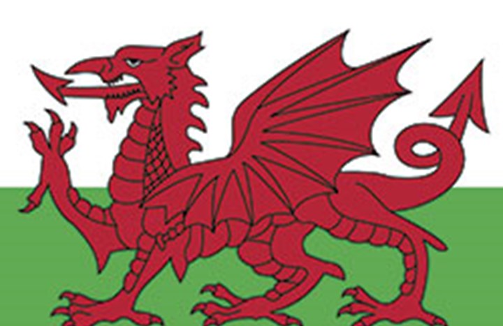 Wales flag image 