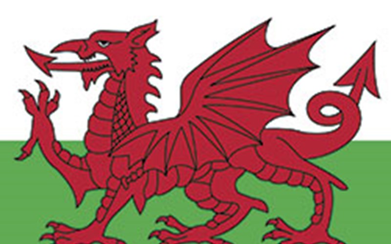 Wales flag image 